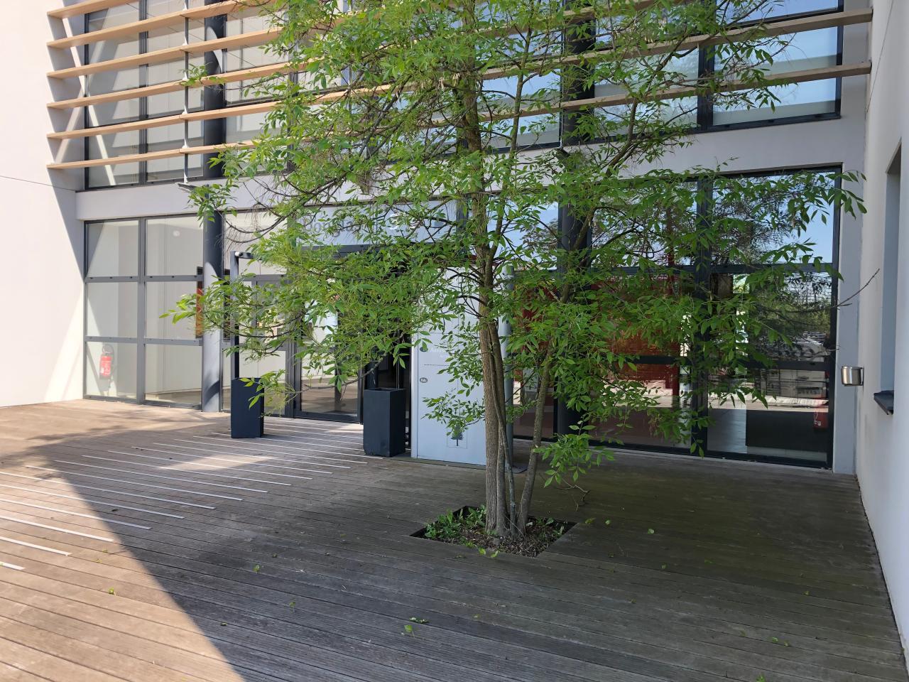 Bureau Saint-Priest 3702m² Location bureau Saint-Priest Rhône OLBUR2110026 21